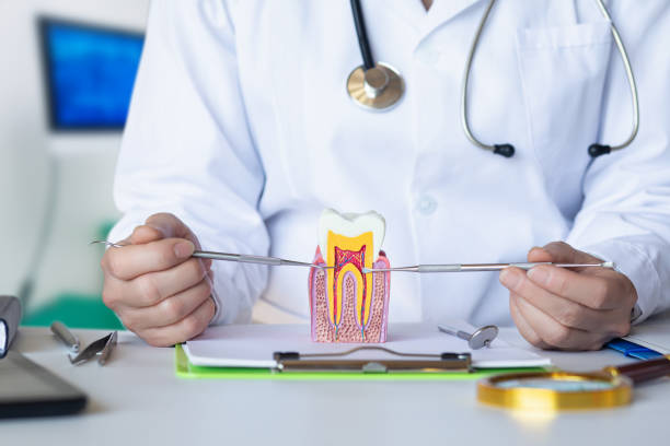 Best Urgent Tooth Repair  in Rittman, OH